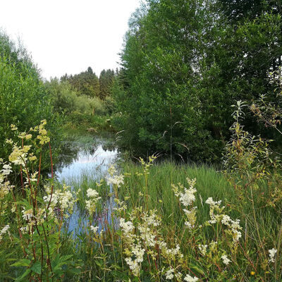 Vermessungsamt