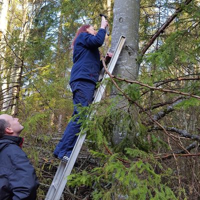 Projekt Nistkästen BVE
