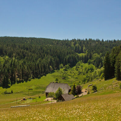 Rohardsberg