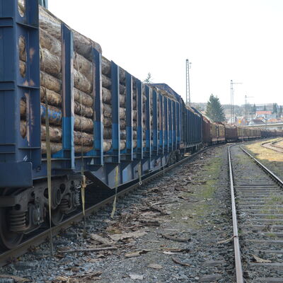 Zug mit Holz