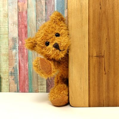 Teddybär