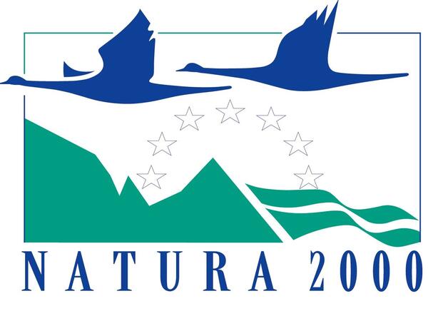 Natura Logo