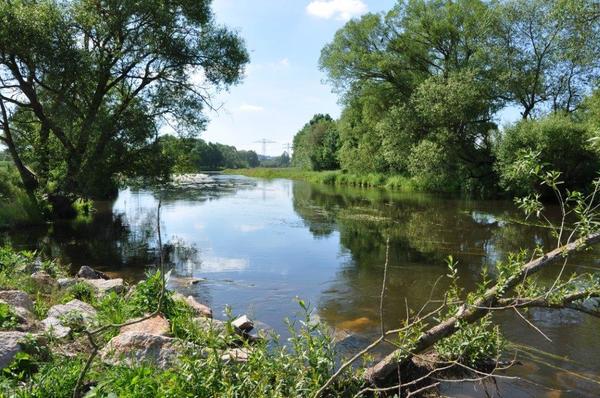 Gewässer Donau