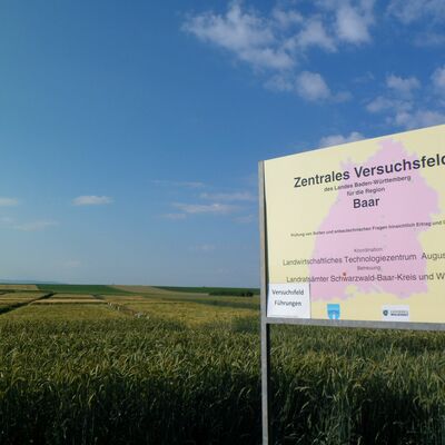 Landwirtschaftsentwicklung