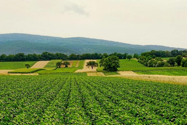 Landwirtschaftsentwicklung