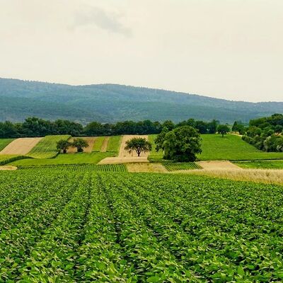 Landwirtschaftsentwicklung