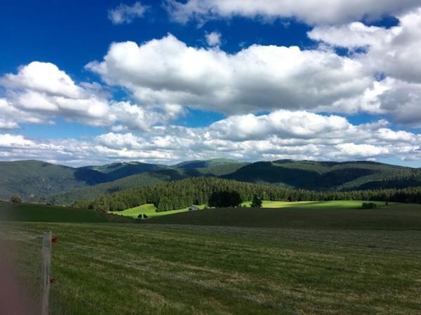 Landschaftsentwicklung