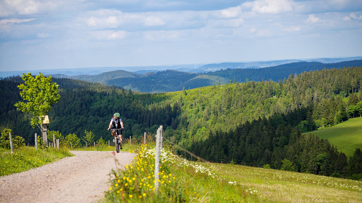 SchwarzwaldBaarKreis