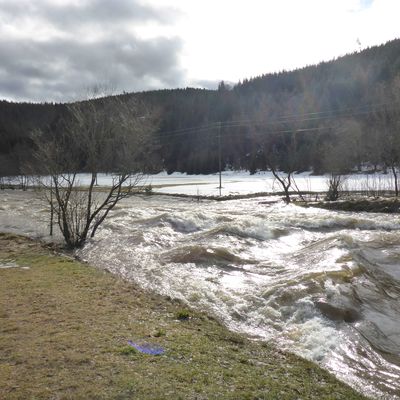 Hochwasser (6)