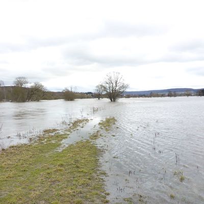 Hochwasser (9)