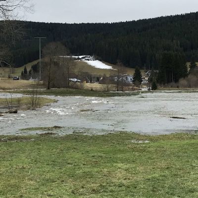 Hochwasser (13)