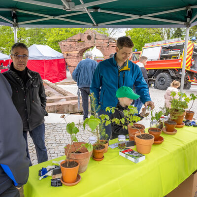 Rckblick Tag der offenen Tr in VS-Villingen Sonntag, 14. Mai 2023