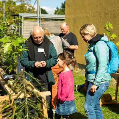 Rckblick Tag der offenen Tr in Donaueschingen 2023