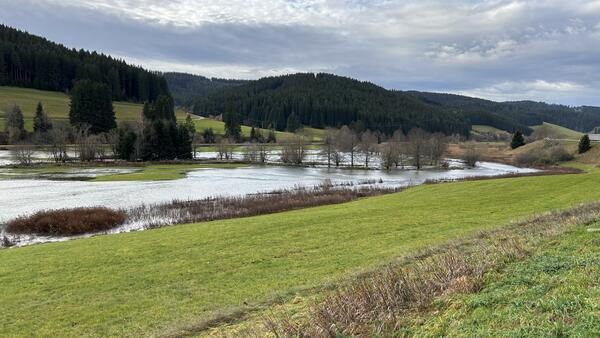 Hochwasser an der Breg oberhalb von Vhrenbach am 14.11.23