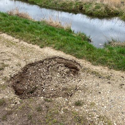 Im Bereich von Uferböschungen sowie angrenzender Grünfläche an Gewässern befinden sich des Öfteren Eingrabungen sowie Aus- und Einstiege der Biber