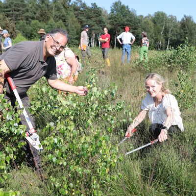 Ministerin Thekla Walker aktiv: mhevolle Arbeit, um den Birkenaufwuchs zu beseitigen.