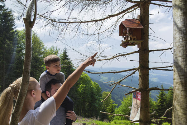 Genießerpfad Uhrwaldpfad Rohrhardsberg Schonach
