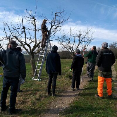 Neue Obst- und Gartenfachwarte f�r den Landkreis