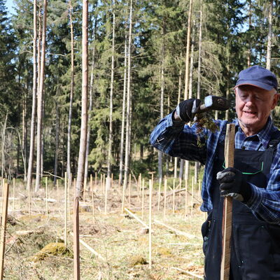Waldpflanztage 