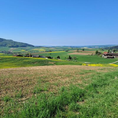 Landesgrenzbegehung zwischen Deutschland und der Schweiz - Aussicht