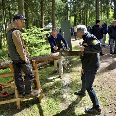 Mein Wald-Tag