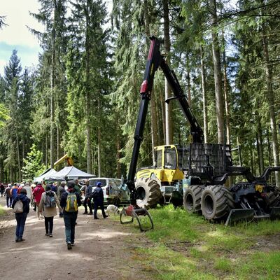 Mein Wald-Tag