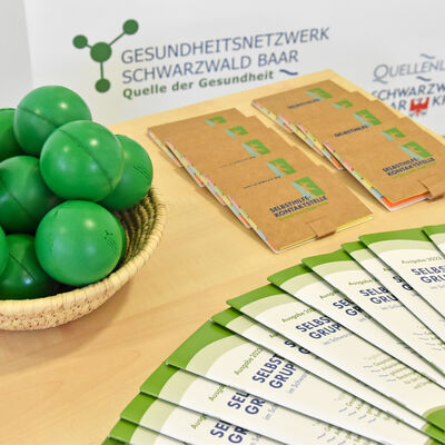 Flyer Gesundheistamt 