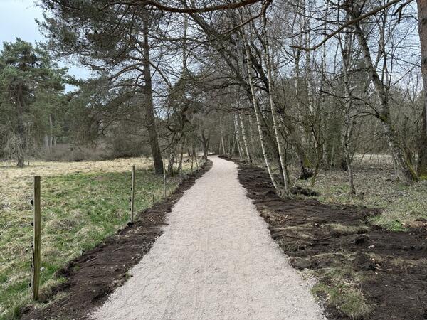 Der neu angelegte Weg im Schwenninger Moos wird bereits sehr gut angenommen.