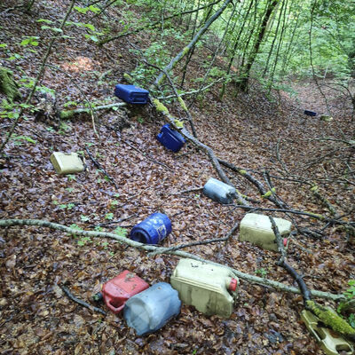 M�ll im Wald_2