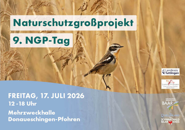 NGP-Tag 